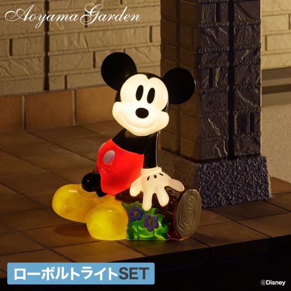 ディズニーイルミネーション特集｜青山ガーデン