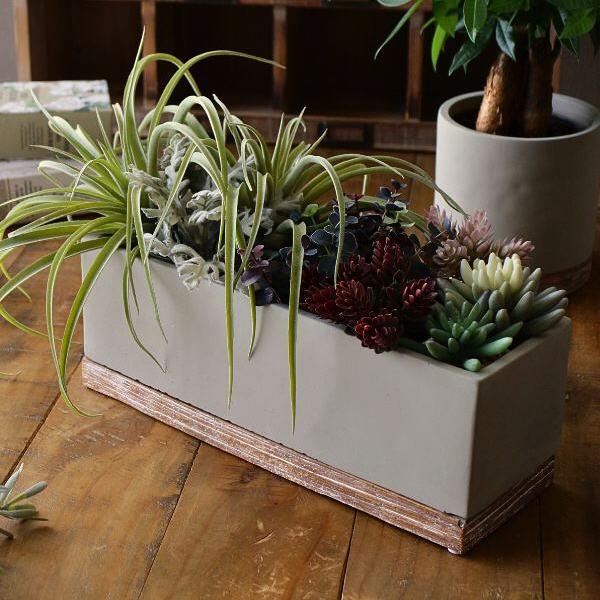 鉢 プランター セメント 長方形 横長 おしゃれ かわいい 植木鉢 鉢植え