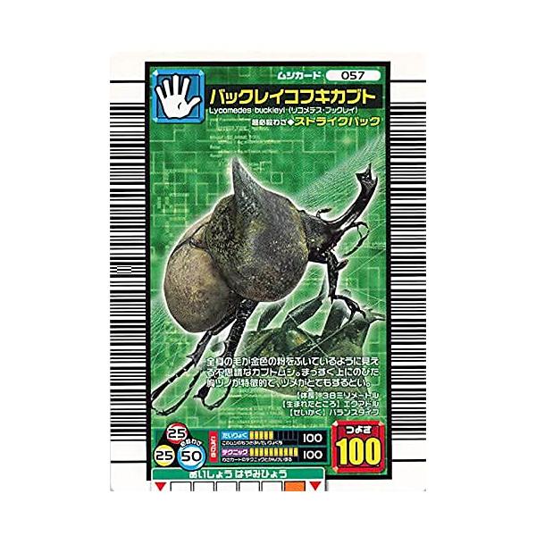 甲虫王者ムシキング 057 バックレイコフキカブト 2006ファースト : ぽ