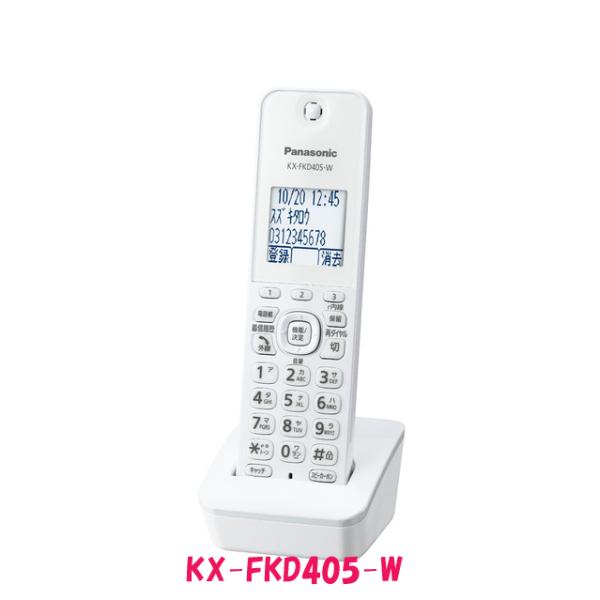 Panasonic（パナソニック） ポイント2倍！【数量限定】パナソニック