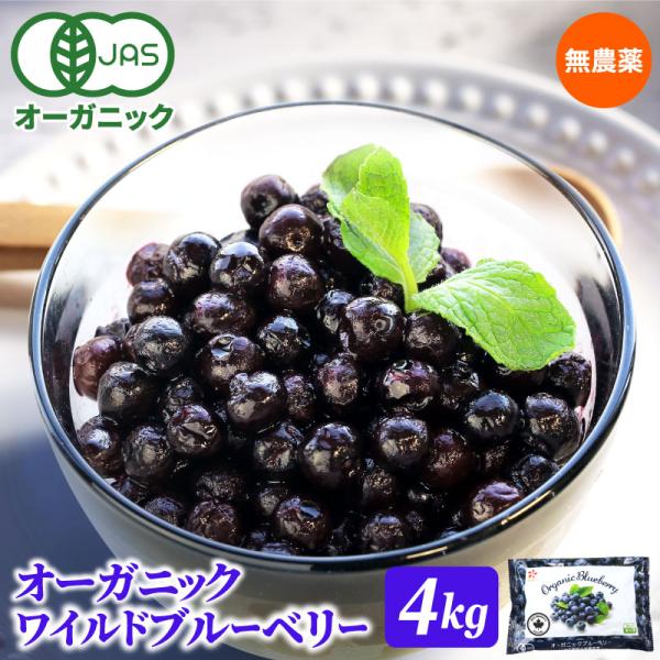 daigounagi_blueberry-w104