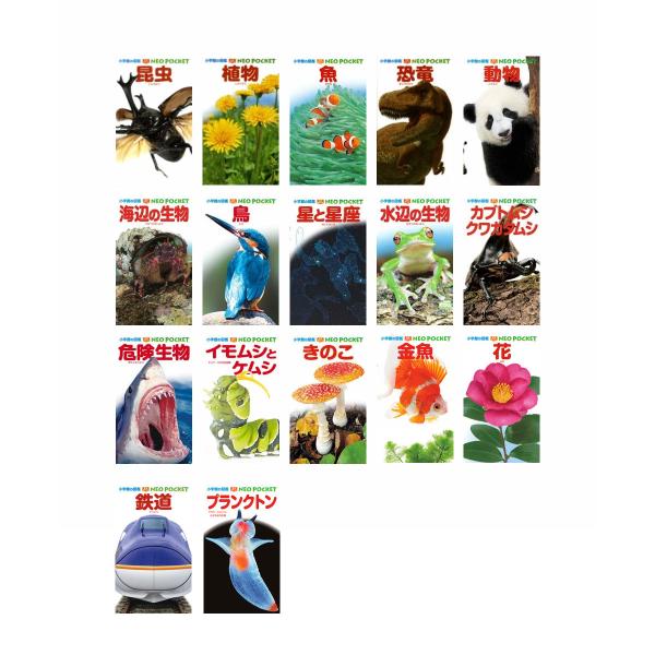 e-sekaiya_newitem8862