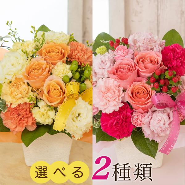 e87ys_tuar-rosebasket