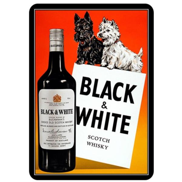 eiwasailsors_tp-jv123