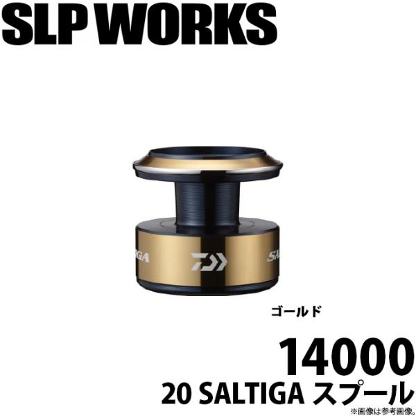 DAIWA（ダイワ） 【取り寄せ商品】ダイワ SLP WORKS 20 ソルティガ