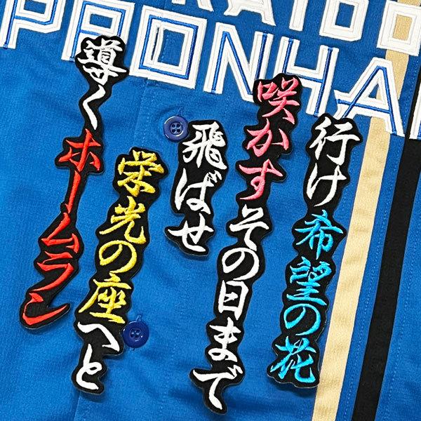 ☆送料無料☆北海道 日本ハム ファイターズ 日ハム 野村佑希 応援歌 黒