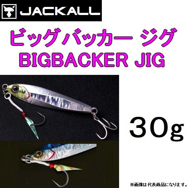 JACKALL（ジャッカル） ビッグバッカージグ 30g 62mm メタルジグ BIG