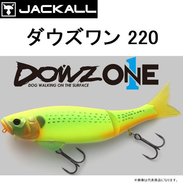 JACKALL（ジャッカル） ダウズワン220 DOWZONE 220mm ビッグベイト