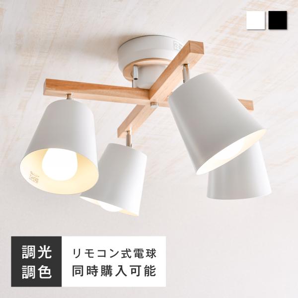 finekagu_cll-ocellusx