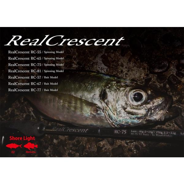 fishingshopseacret_rc-55s