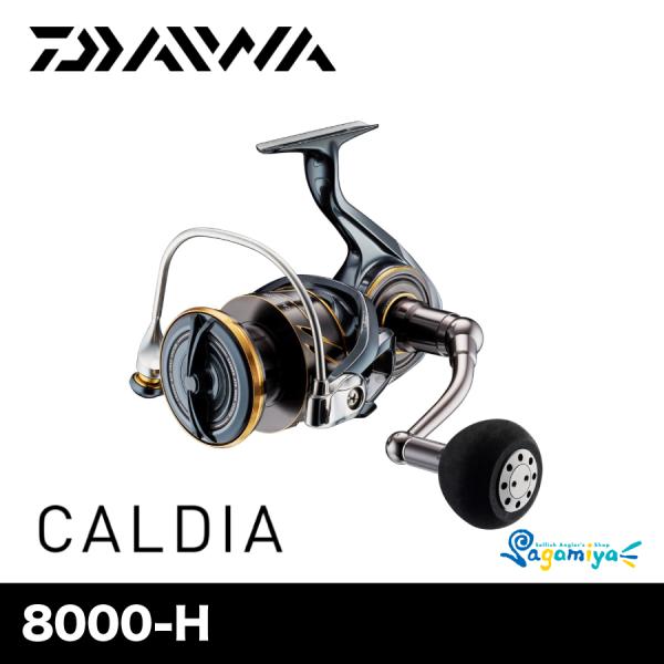 DAIWA（ダイワ） 22カルディア SW 8000-H（CALDIA） : フィッシング
