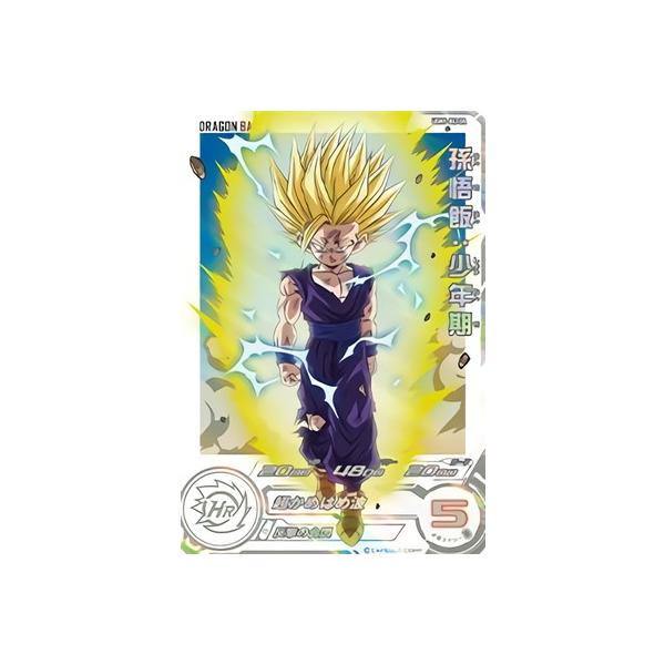 BANDAI（バンダイ） スーパードラゴンボールヒーローズ UGM5-002 DA 孫