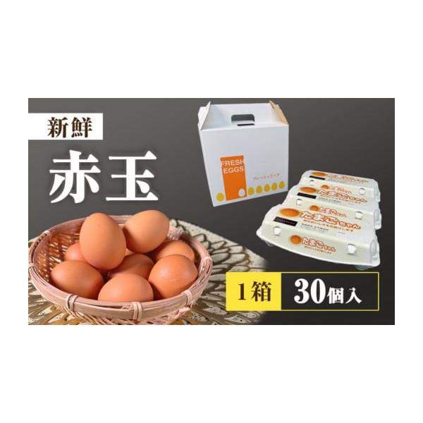 ふるさと納税 卵（鶏、烏骨鶏等） 栃木県 鹿沼市 アスタキサンチン