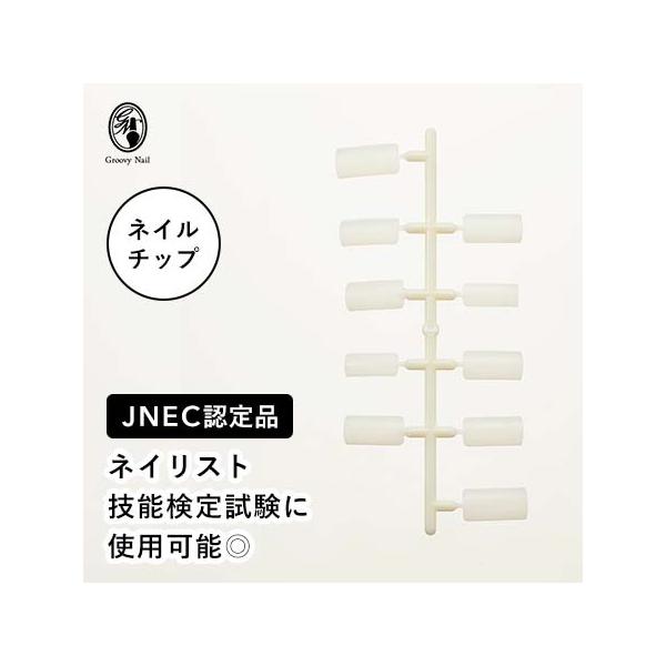 JNEC認定 STモデルハンド ネイルチップ 練習用/トレーニング用