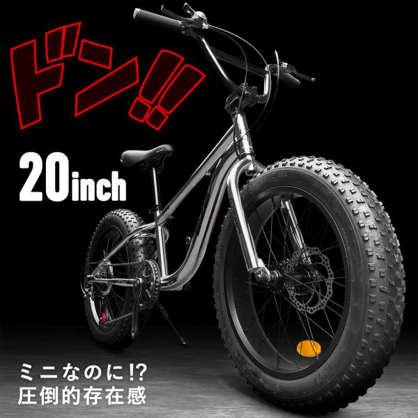EIZER（アイゼル） ファットバイク 自転車 雪道 砂浜 シルバー メッキ