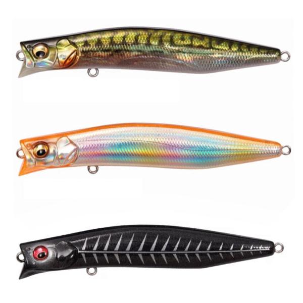 kougasyou_kagelou100f2025sp-c-001