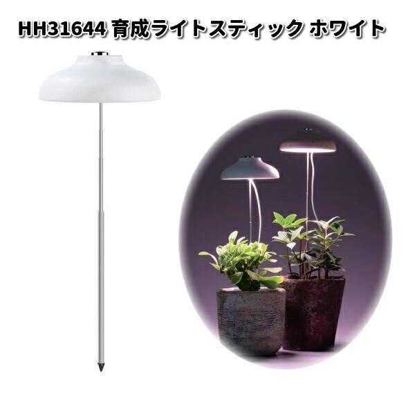 kcm-onlineshop_074-4589588316445