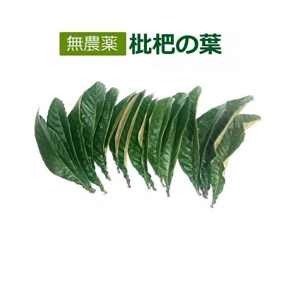 kirarasizen_0000-00-0078