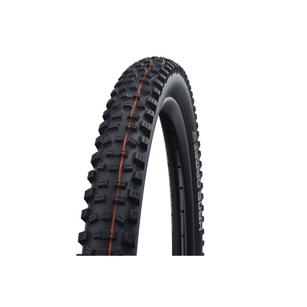 kt-gigaweb_299-schwalbe-