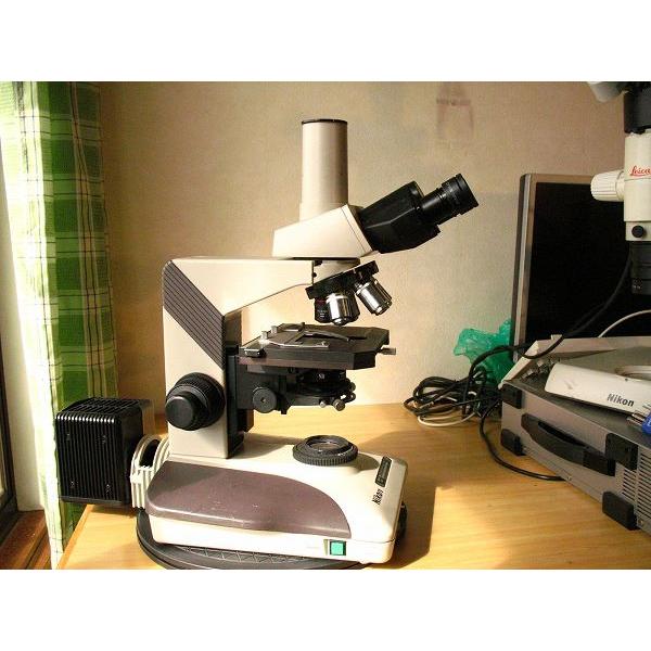 ニコン生物顕微鏡 X2F-21 接眼レンズ：NCFW10x 対物レンズ：CF-plan4x