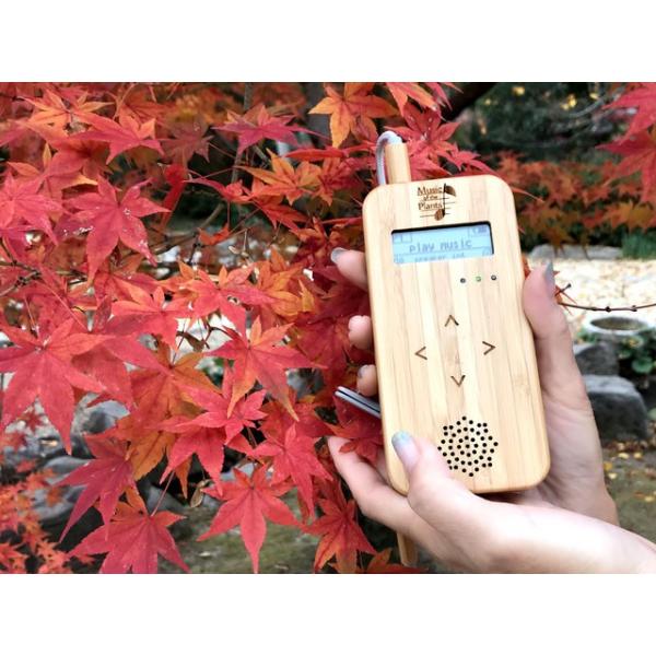 ポータブルデバイス バンブーM : ホノカ社 - 通販 - Yahoo!ショッピング