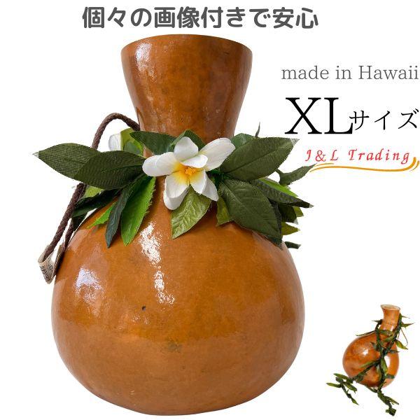 イプ XLサイズ フラ フラダンス 楽器 ハワイ ハワイアン 打楽器