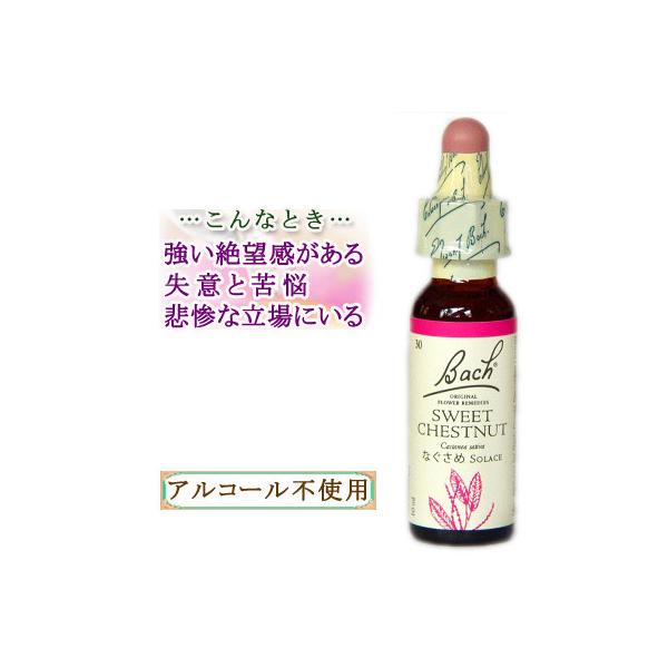 バッチフラワーレメディ 30スイートチェストナット ノンアルコープ