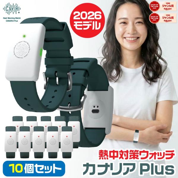 LIHIT LAB.（リヒトラブ） 『10個セット』 カナリアPlus カナリア