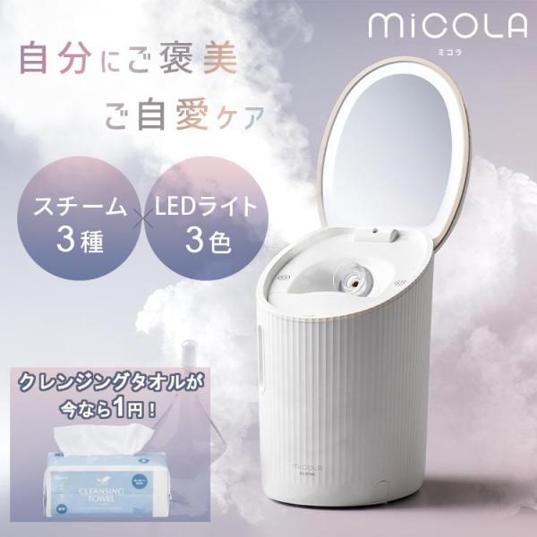 IRIS OHYAMA（アイリスオーヤマ） 美顔器 スチーマー フェイス