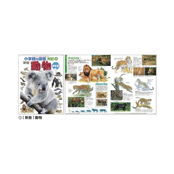 小学館（SHOGAKUKAN） 小学館の図鑑NEO （1）[新版]動物 : いくるん