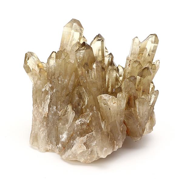 ise-miyachu_st-clus-22-6