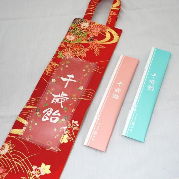 iwaiseika_p-chihojun2h