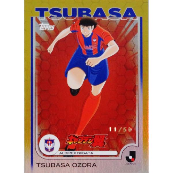 jambalaya_25tjfs-t11-50p