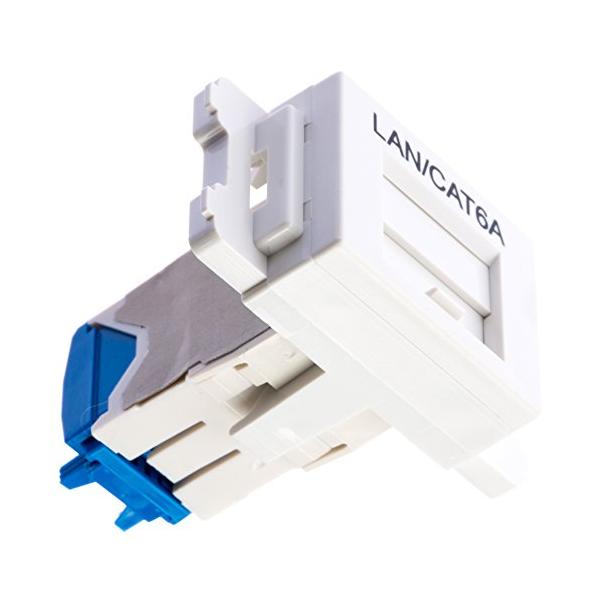 パンドウイット Cat6A JISプレート用ジャックキット 白 JAOSSP6ATGMW