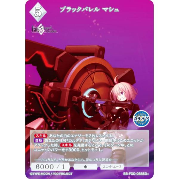 lead-netstore_bbfgo032408ttp088