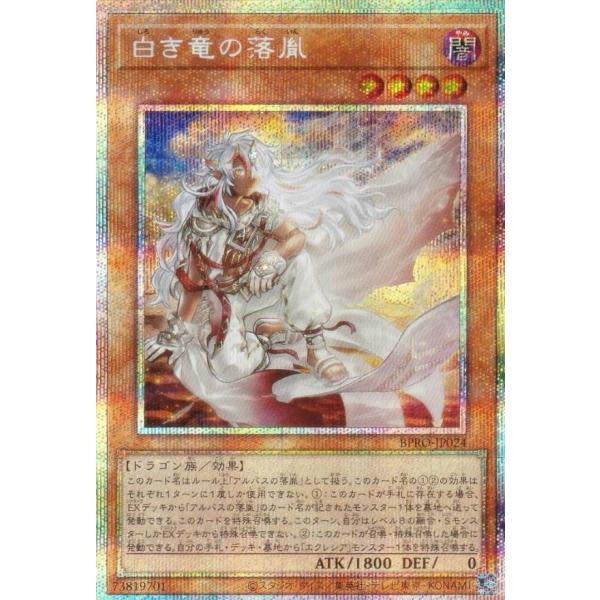 lead-netstore_bpro252510ttz024