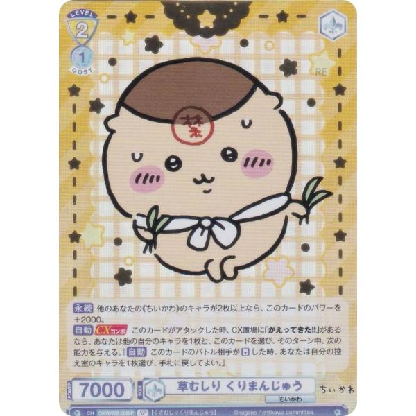 lead-netstore_cikw2b112504ttsp008