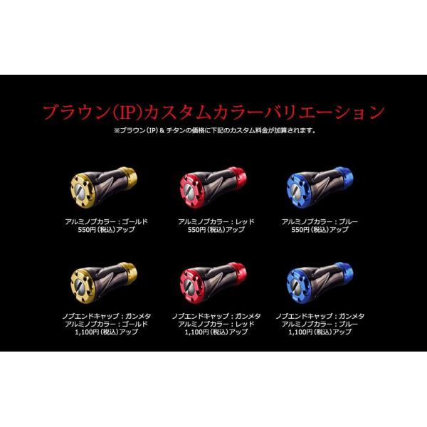 フォルテ2個 ブラウンIP チタン 各種 LIVRE ハンドルノブ リブレ