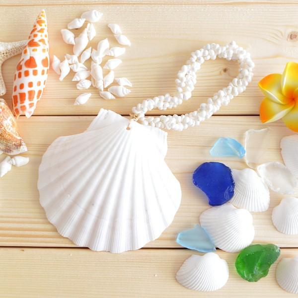 シェルドアハンガー ドア飾り 貝殻 スターフィッシュ ヒトデ