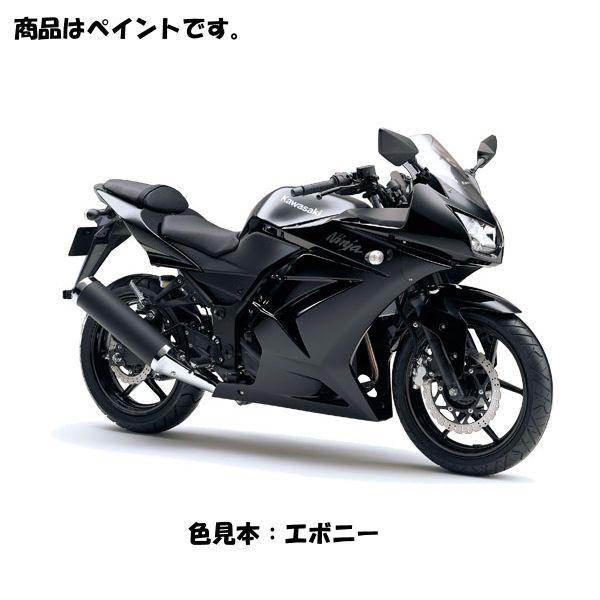 カワサキ（Kawasaki） (在庫あり/ネコポス発送) KAWASAKI純正 J5012