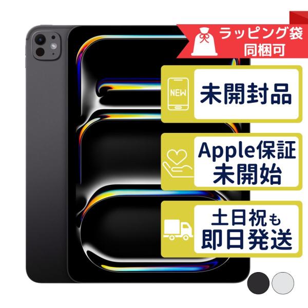 256GB 【未使用品】iPad Wi-Fi Pro11インチ(M4) 100%