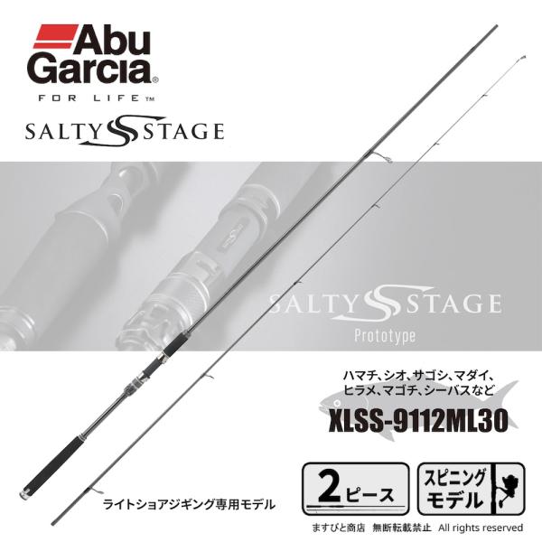 Abu Garcia（アブガルシア） ソルティーステージ プロトタイプ ライト
