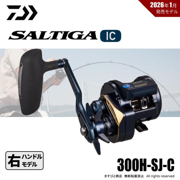 DAIWA（ダイワ） 決算セール 25 ソルティガ IC 300H-SJ-C 送料無料