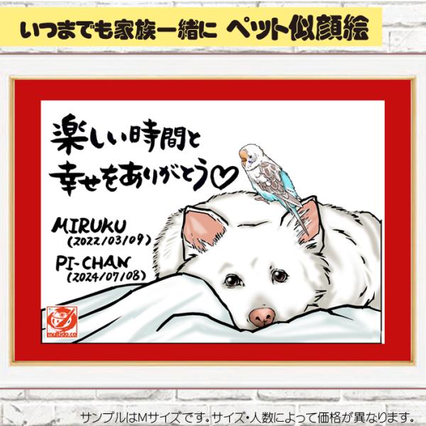 multido_multido-hc-pet