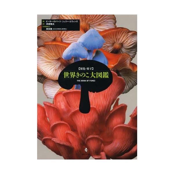 neowing_neobk-1362914