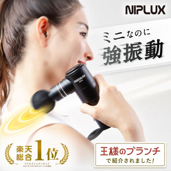 niplux_np-fx20b-nb