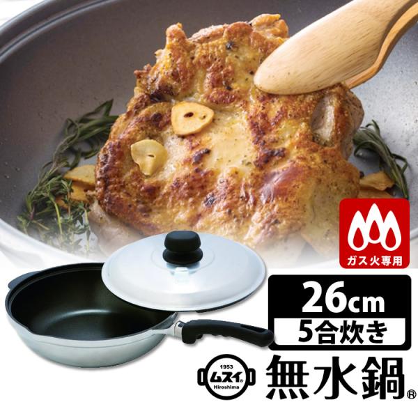 HAL Series 無水鍋 ホームパンらいと（ガス火専用） （26cm 5合炊 日本