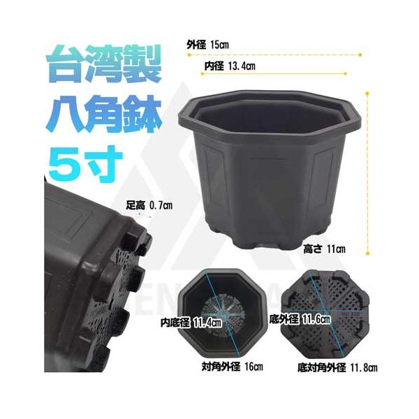 八角鉢 5寸 検/八角 プラ 鉢 アガベ鉢 台湾鉢 チタノタ titanota