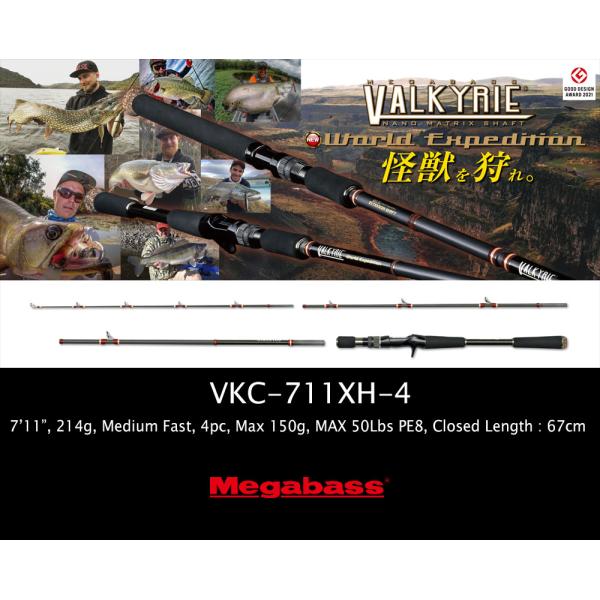ヴァルキリー MEGABASS VALKYRIE World Expedition Multi VKC-711XH-4
