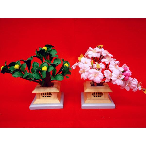 雛まつり☆御花単品☆桜橘醍醐自然木8号(高さ13cm)☆京都御所に